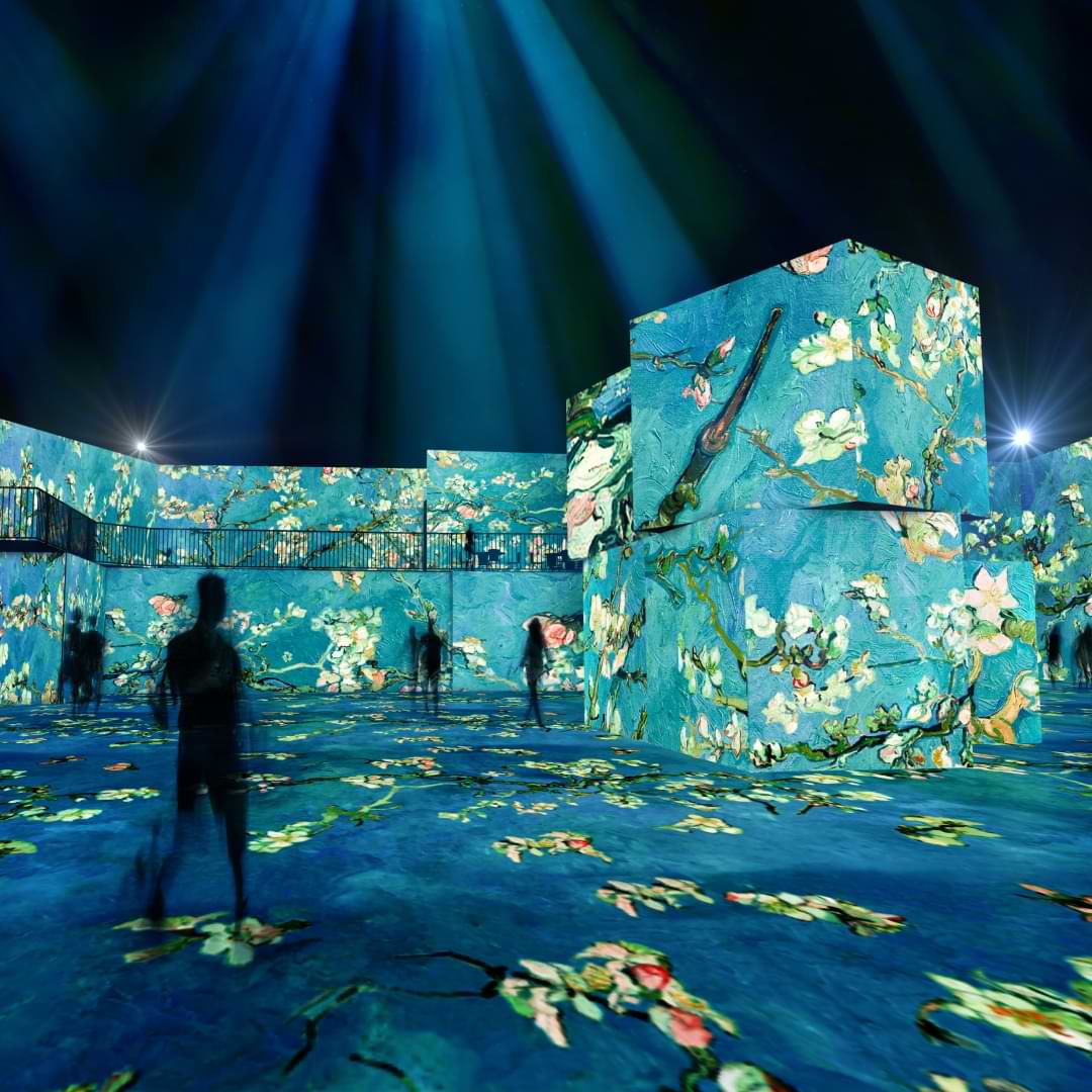 Van Gogh Alive exhibition - Branches with Almond Blossom illuminating the exhibition.