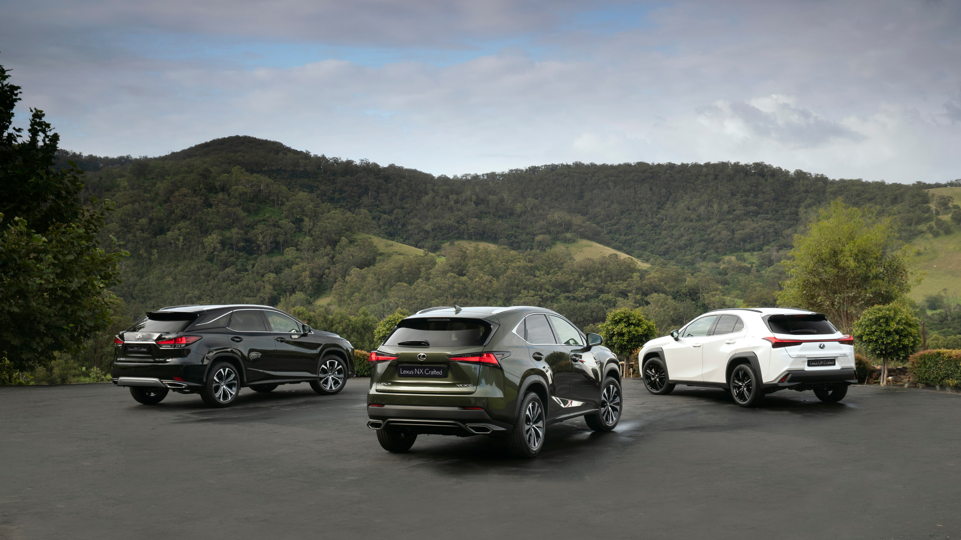 (Left to right) rear of 2021 Lexus RX 300 Crafted Edition, NX 300 Crafted Edition and UX 200 Crafted Edition parked on a road, with hills in the background.